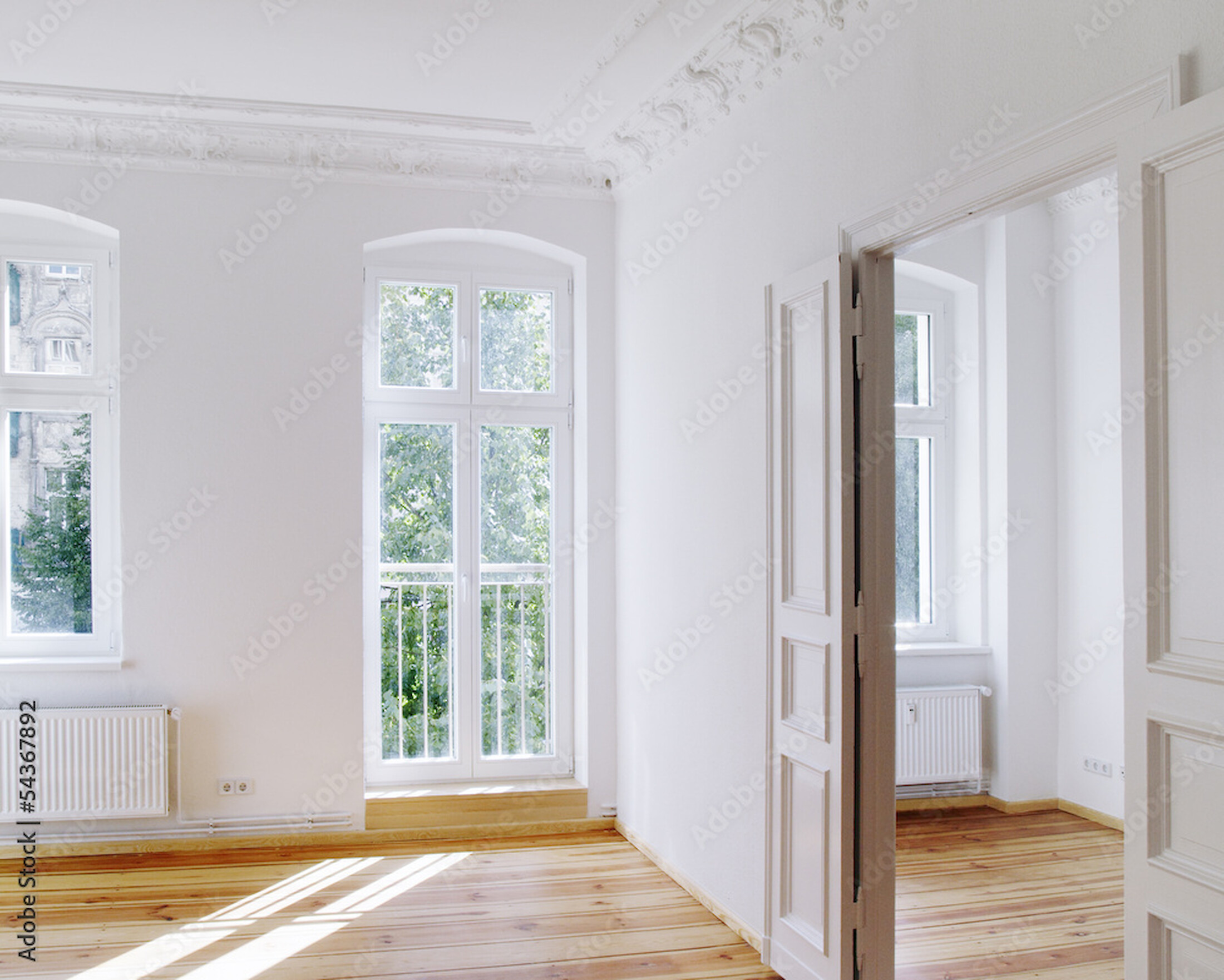 Moltkestra&szlig;e 19, 08523 Plauen